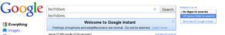 turning off Google Instant Search