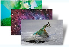 Bings Best 4 thumb Download Best of Bing 4 Theme for Windows 7
