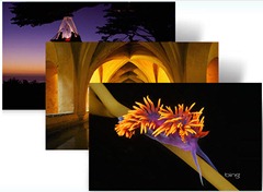 Best of Bing 5 thumb Download Best of Bing 5 Windows 7  Theme