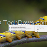 Bing Desktop