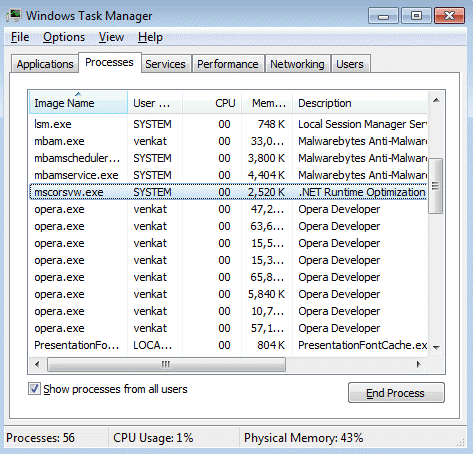 mscorsvw.exe