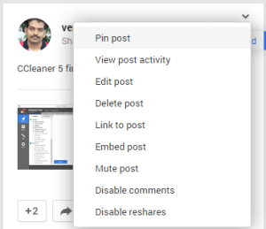 Google Plus Profile Pin Post option