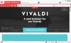 vivaldi