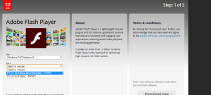 Select PPAPI flash for Opera and Chrome