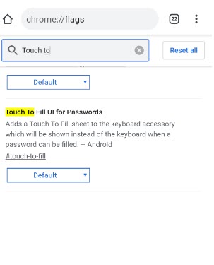 Touch to Fill UI for Password flag