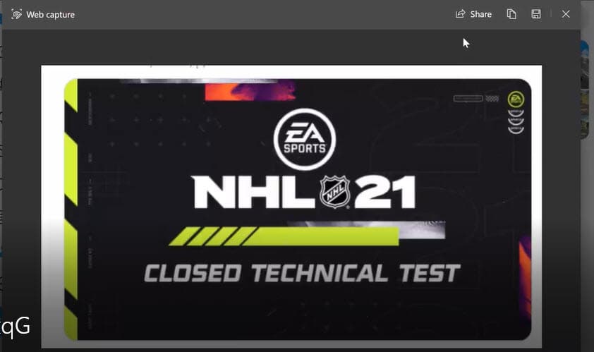 Web capture preview window