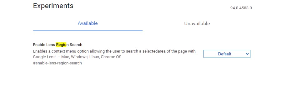 Enable Lens Region Search flag