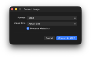 Convert Image Preserve Metadata Actual Size JPEG