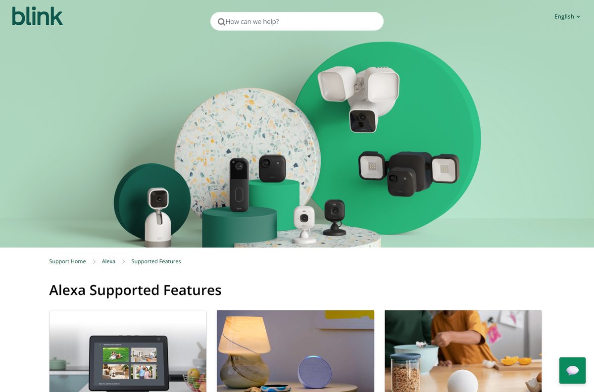 Blink support page listing Alexa features including live view
