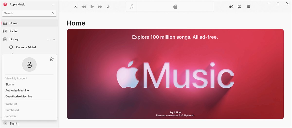 Apple Music app for Windows with the Sign In menu option