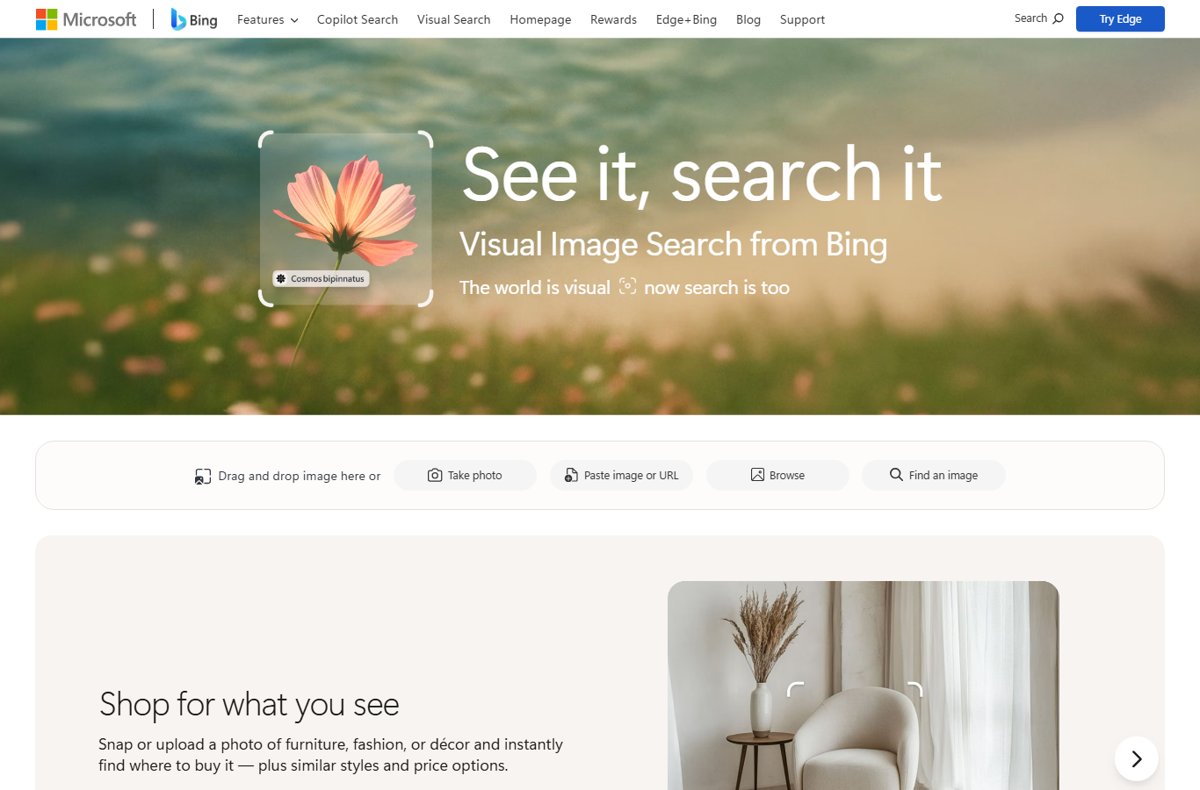Bing Visual Search homepage with drag, photo and browse options