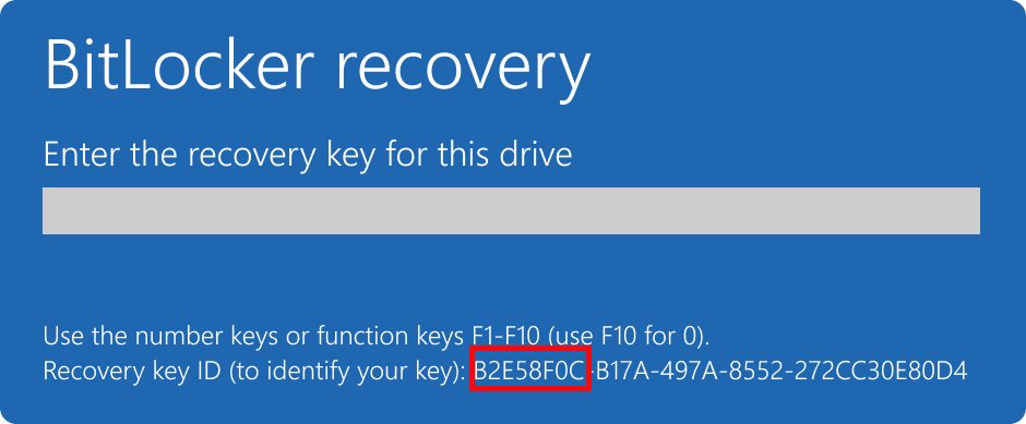 Blue BitLocker recovery screen asking for the 48-digit key