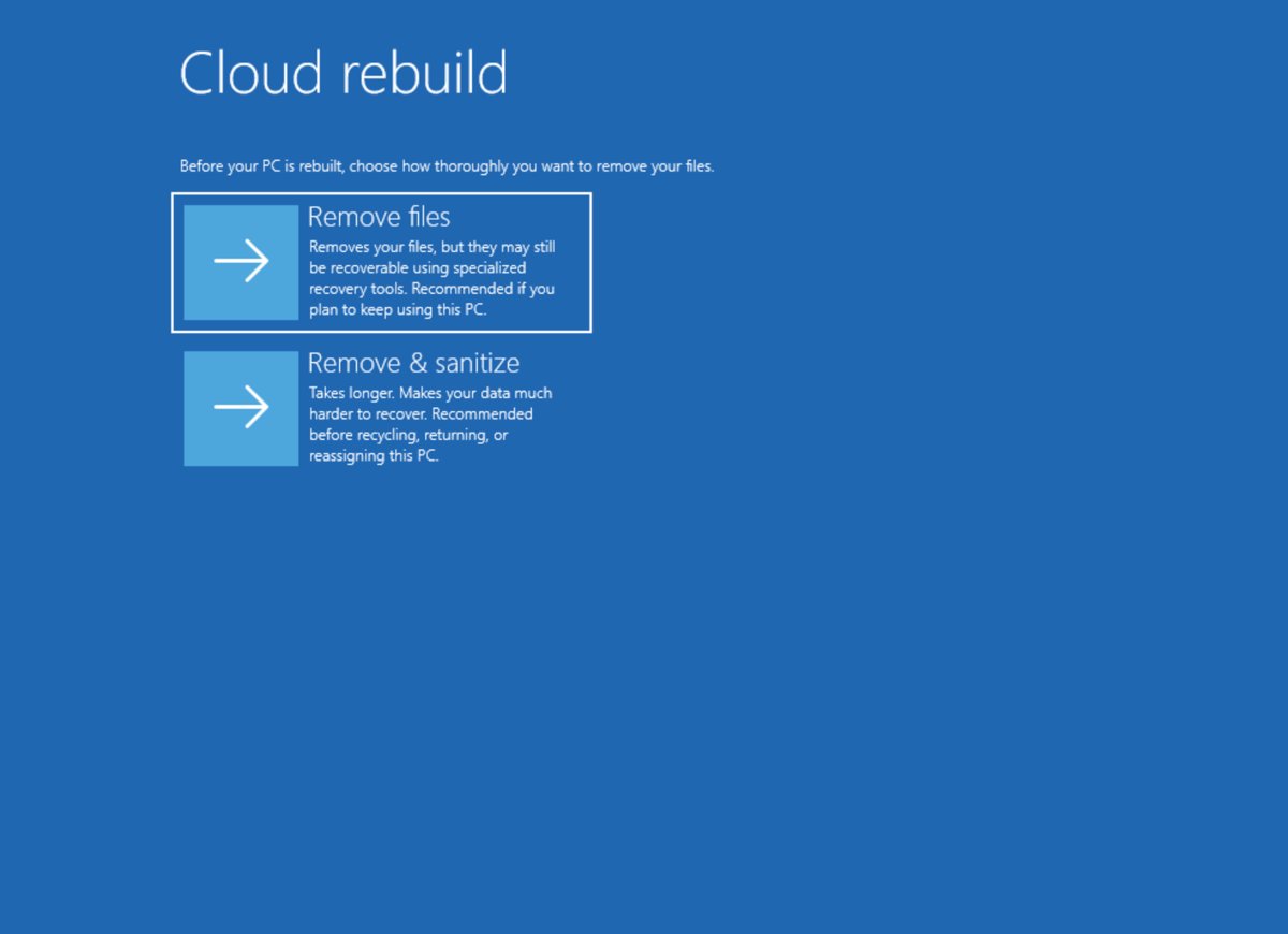 Cloud rebuild screen choosing between Remove files and Remove and sanitize