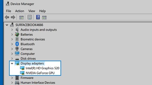 Device Manager with Display adapters expanded showing two graphics adapters