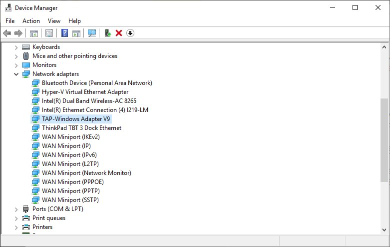 Device Manager with Network adapters category expanded