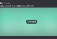 Discord message with an image hidden behind a spoiler tag