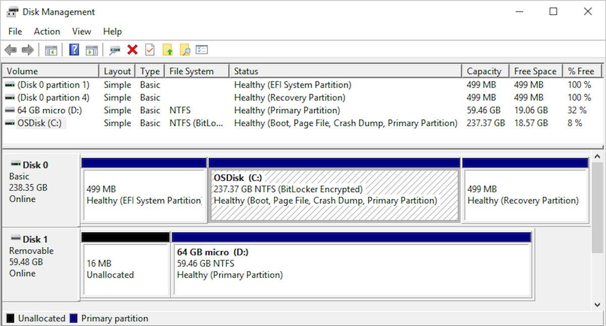 Disk Management window showing two disks and their partition details