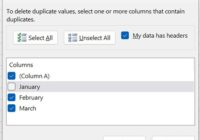 Excel Remove Duplicates dialog with column checkboxes and header option