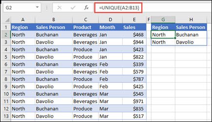 Excel worksheet with UNIQUE formula spilling results into two columns