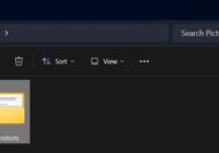 File Explorer Pictures folder showing the Screenshots subfolder icon