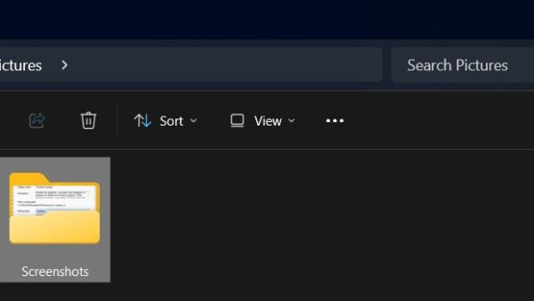 Where Is My Screenshot Folder Located (Windows 11 And Windows 10)