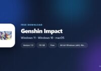 Genshin Impact version, price, storage and supported platforms