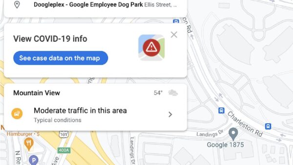 How to See My Google Reviews? – Simple Guide