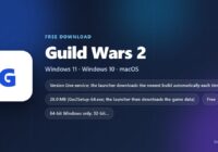 Guild Wars 2 installer size, platform and price at a glance
