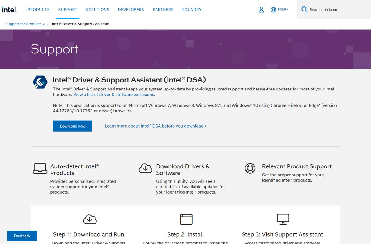 Intel Driver & Support Assistant download page with the Download now button