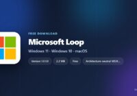 Loop spec card showing version, download size and supported systems