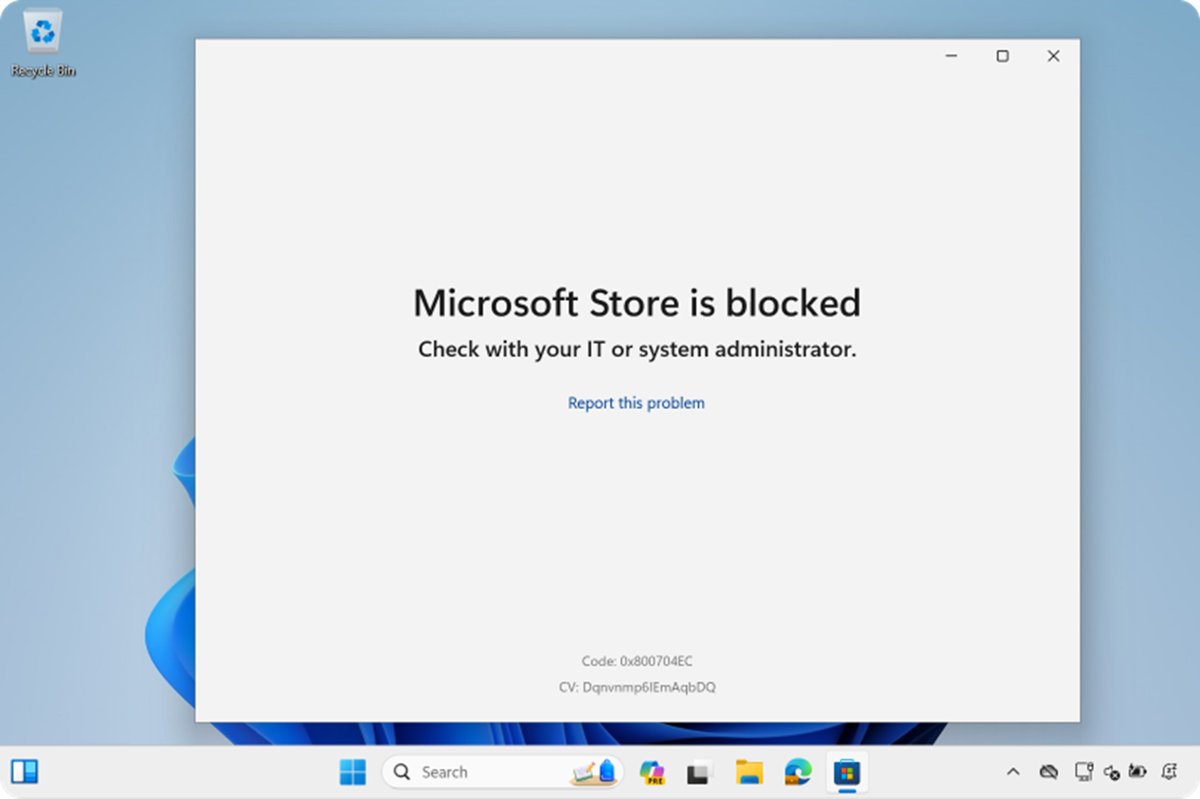 Microsoft Store is blocked error screen on Windows 11