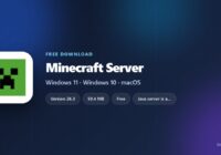 Minecraft server card with versions, file sizes and supported systems