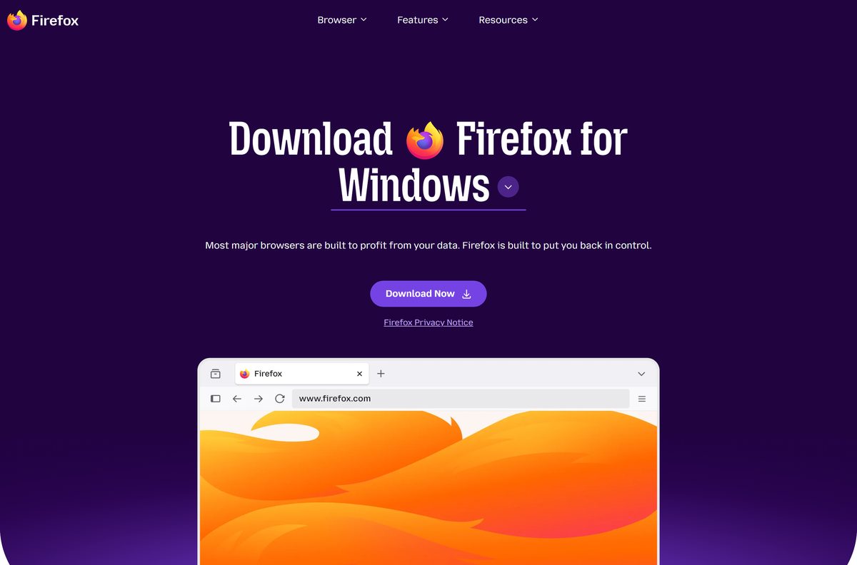 Official Windows download page with the Download Now button