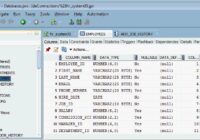 Oracle SQL Developer main window showing Connections navigator and EMPLOYEES table