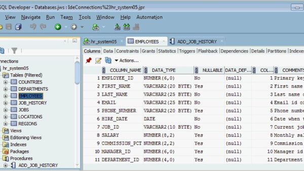 How to Use sqldeveloper.exe on Windows 11/10: Setup, Errors and Tips (2026)