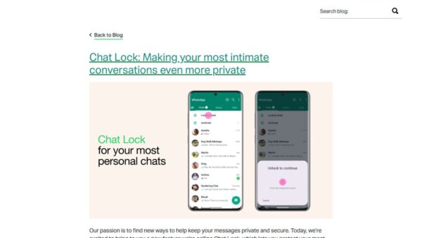 What is WhatsApp Web, how does it work, and everything you can do with it?