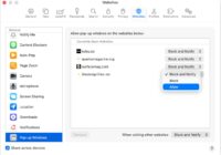 Safari Pop-up Windows settings with an Allow option shown for a site