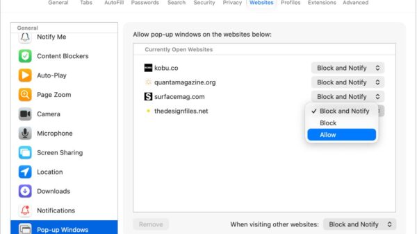 How to Enable Redirects on Chrome, Edge, Safari, Opera, and Firefox