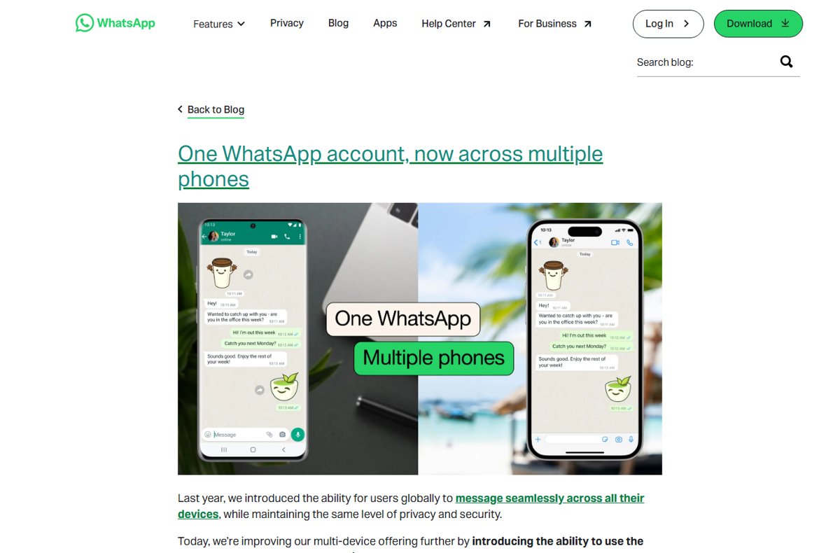 Same WhatsApp chat open side by side on two phones
