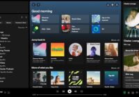 Spotify desktop app Your Library sidebar full of playlists