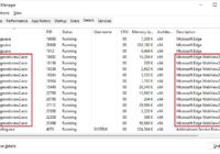Task Manager Details tab listing many msedgewebview2.exe processes with memory use