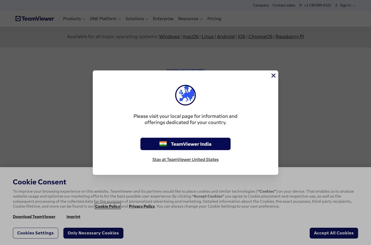 TeamViewer for Windows page with the Provide support and Receive support buttons
