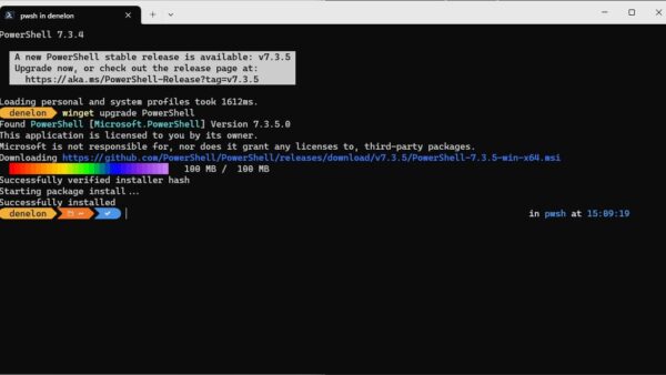 How to update Microsoft Store Apps manually in Windows 11