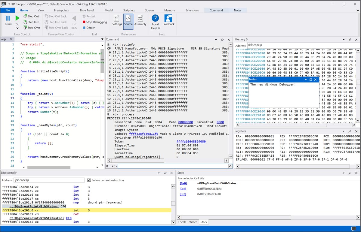 WinDbg main window with command box, disassembly, registers and stack panes