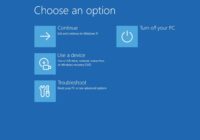 Windows 11 Choose an option screen with Troubleshoot and Continue tiles