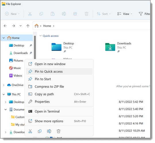 Windows 11 File Explorer left pane with Home, OneDrive and This PC listed