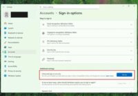 Windows 11 Settings Accounts page showing Sign-in options and Additional settings