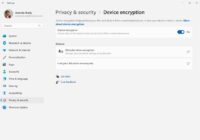 Windows 11 Settings Privacy and security Device encryption toggle switched on