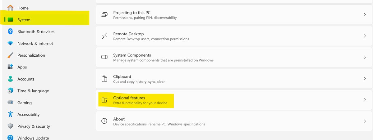 Windows 11 Settings System page with Optional features entry highlighted
