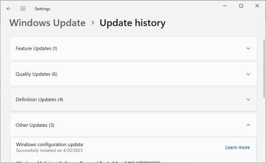 Windows 11 Update history page with the Other Updates group expanded